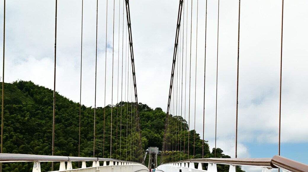 Taiping Suspension Bridge, Taiwan’s highest scenic bridge, stretches across a valley in Meishan Township, Chiayi. Visitors enjoy stunning views and fresh air, feeling immersed in nature.