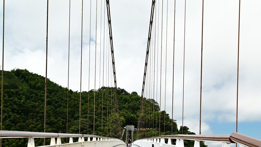 Taiping Suspension Bridge, Taiwan’s highest scenic bridge, stretches across a valley in Meishan Township, Chiayi. Visitors enjoy stunning views and fresh air, feeling immersed in nature.