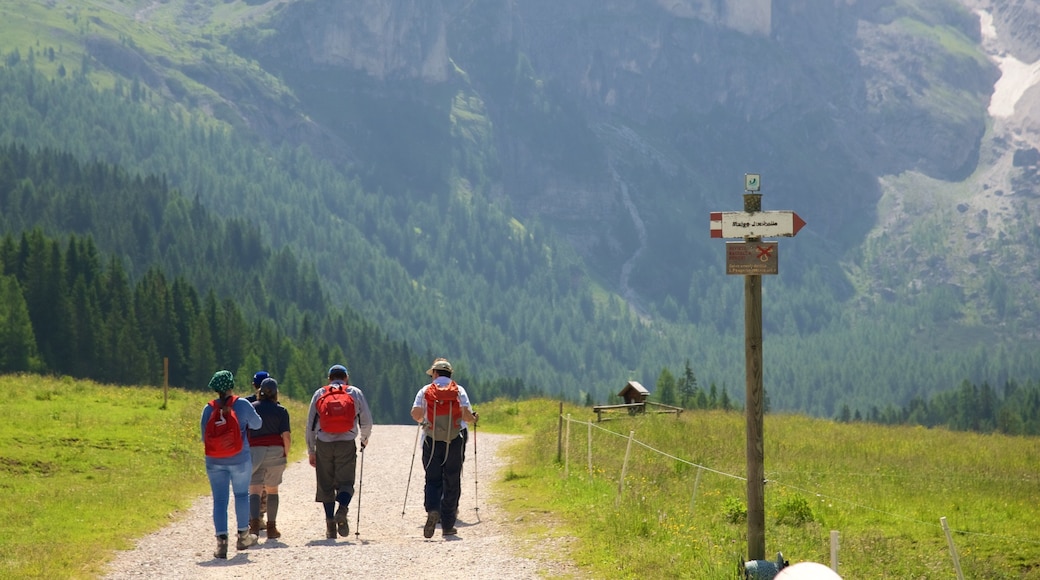 Trentino trong đó bao gồm biển hiệu và đi bộ cũng như nhóm nhỏ