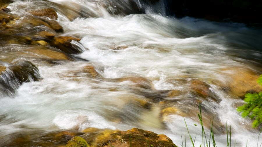 Trentino which includes rapids