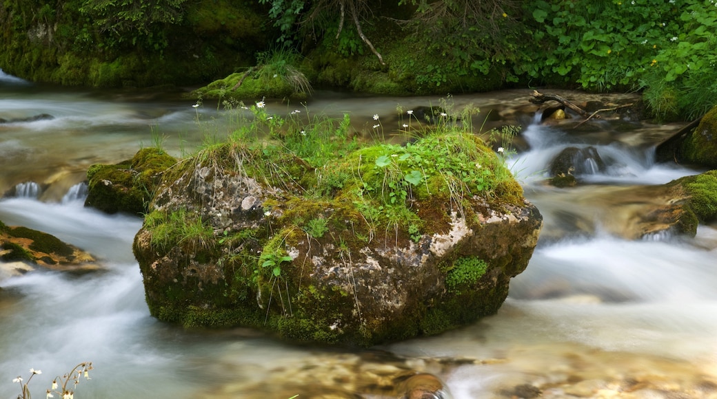 Trentino trong đó bao gồm ghềnh