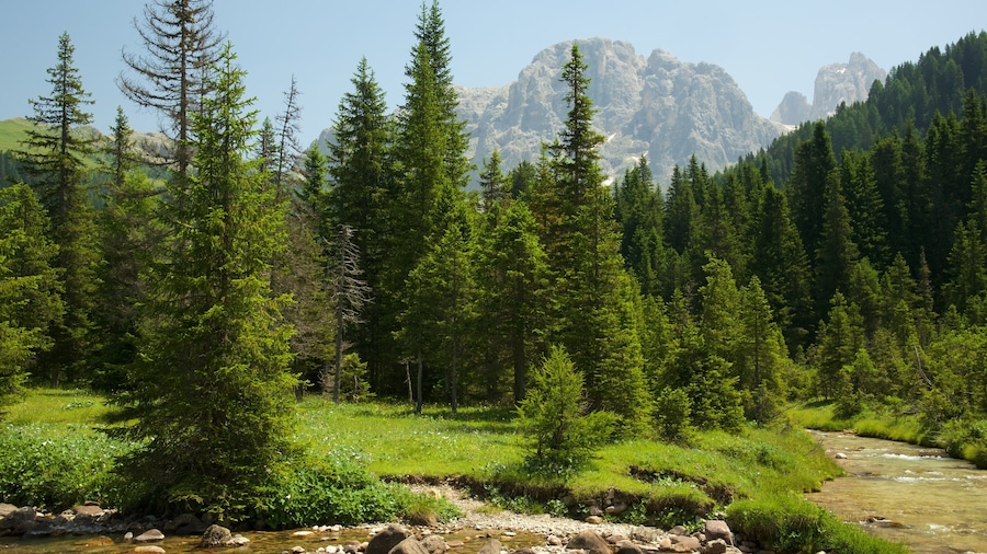 Trentino featuring a river or creek and forests