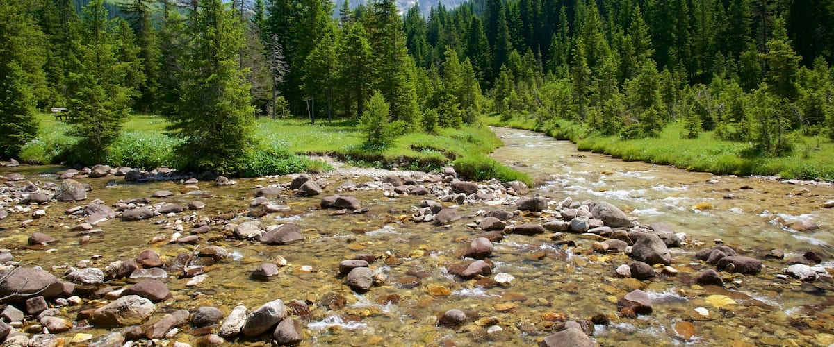 Trentino เนื้อเรื่องที่ ทิวทัศน์ป่า