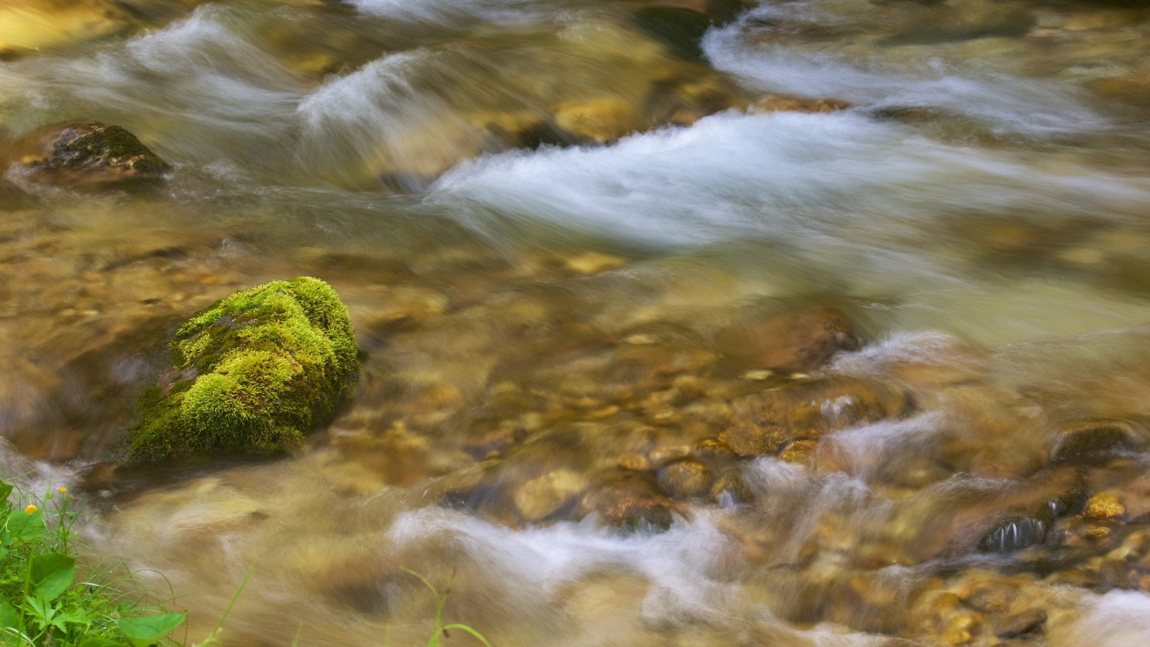 Trentino mostrando un río o arroyo