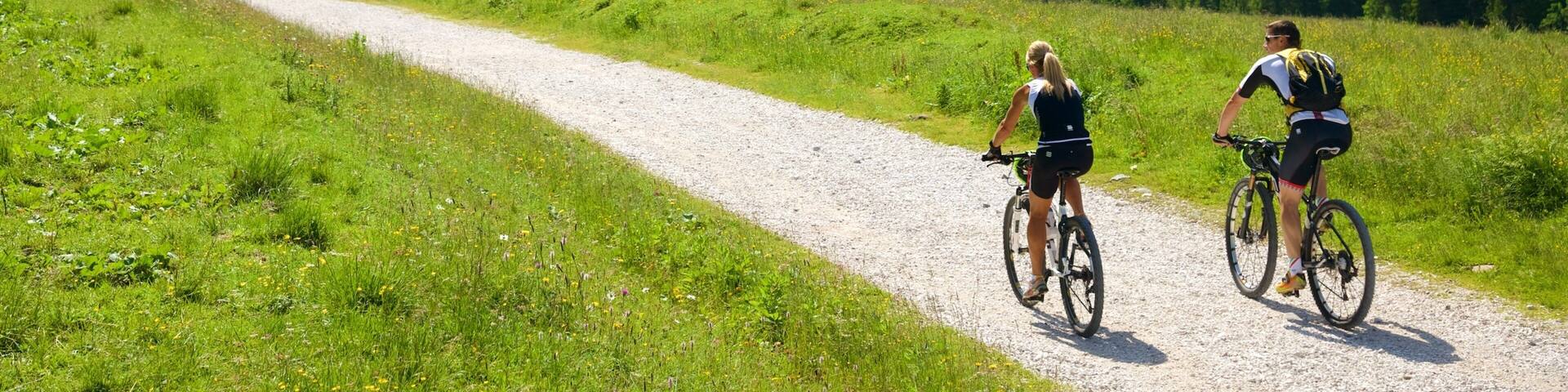 A gravel path in a mountainous area with dense forests and a clear sky.