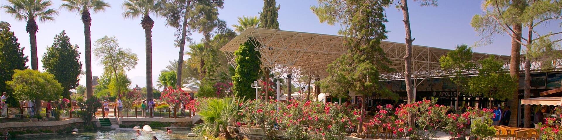Hierapolis featuring a pool and a hot spring as well as a small group of people