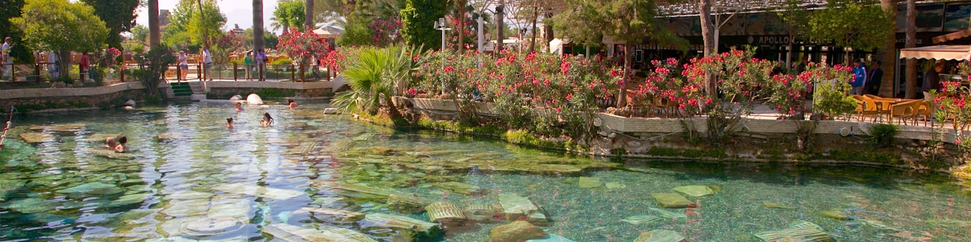 Hierápolis que inclui uma fonte termal e uma piscina assim como um pequeno grupo de pessoas
