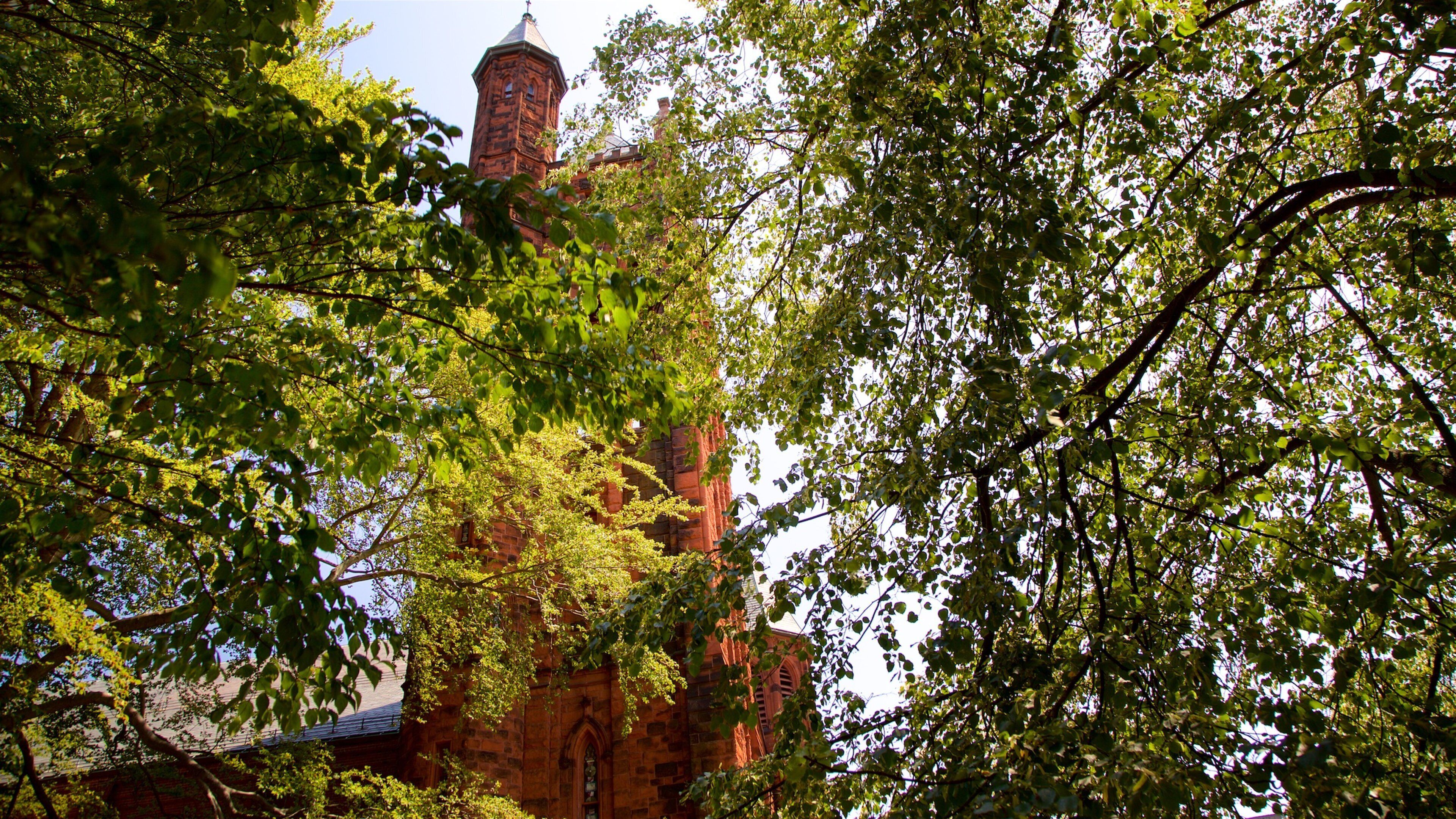 Portland fasiliteter samt historisk arkitektur