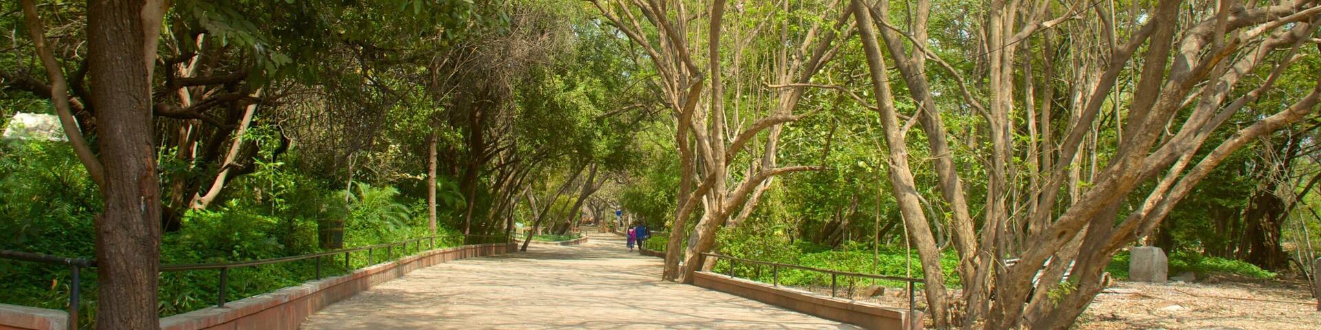 Pune showing a garden