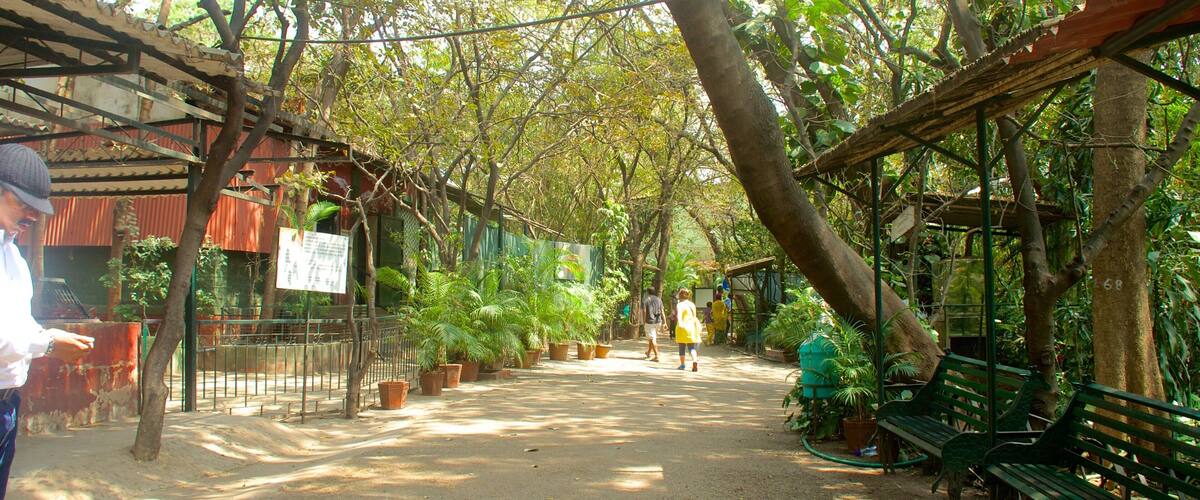 Pune featuring a park