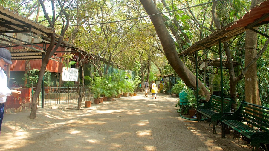 Pune featuring a park
