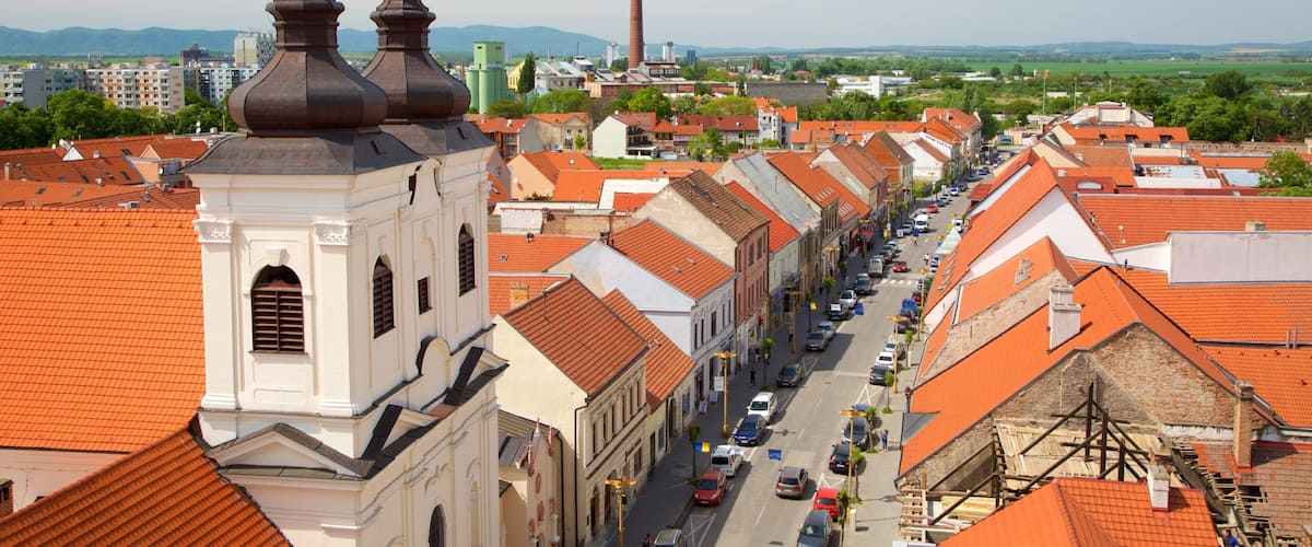 Trnava que incluye una iglesia o catedral y una ciudad