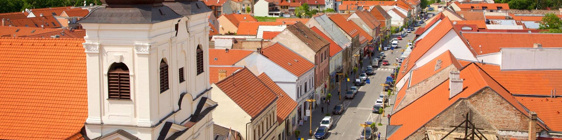 Trnava which includes a church or cathedral and a city