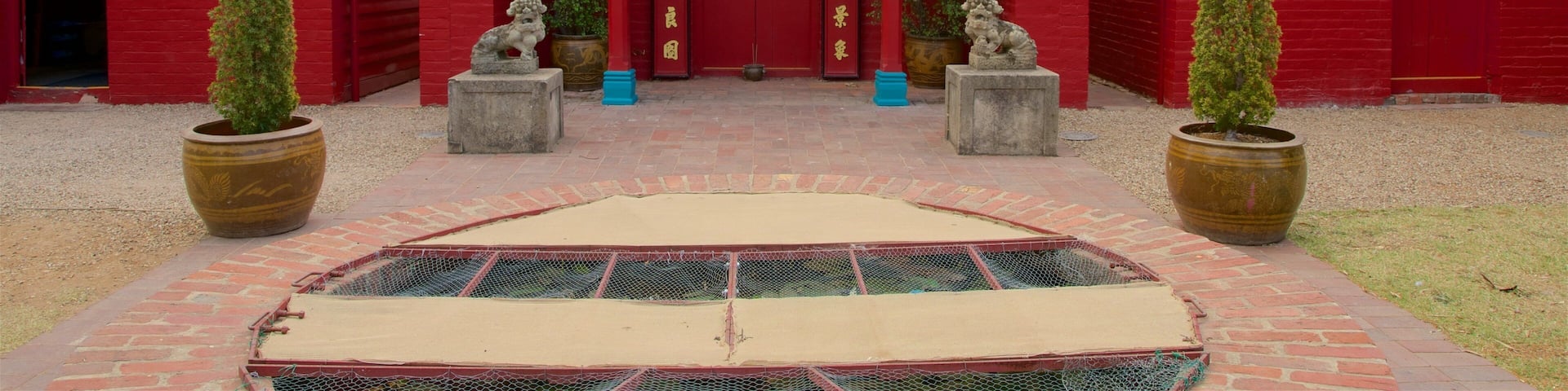 班迪哥