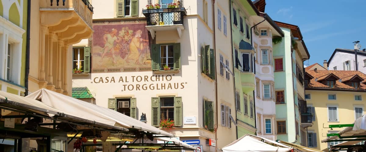 Bolzano que incluye una ciudad y patrimonio de arquitectura