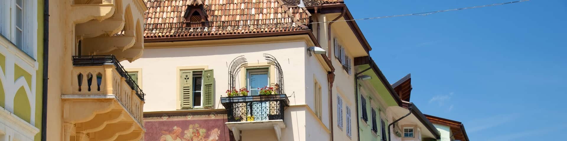 Bolzano montrant ville et patrimoine architectural