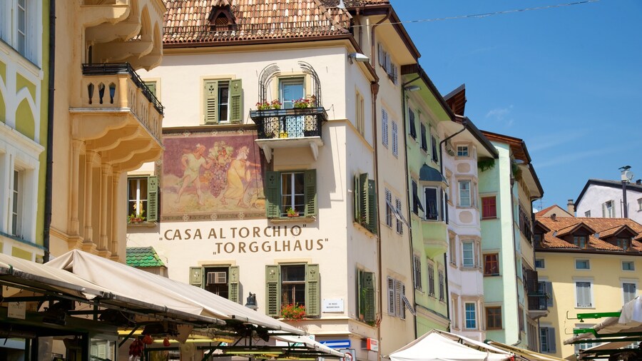 Bolzano showing heritage architecture and a city