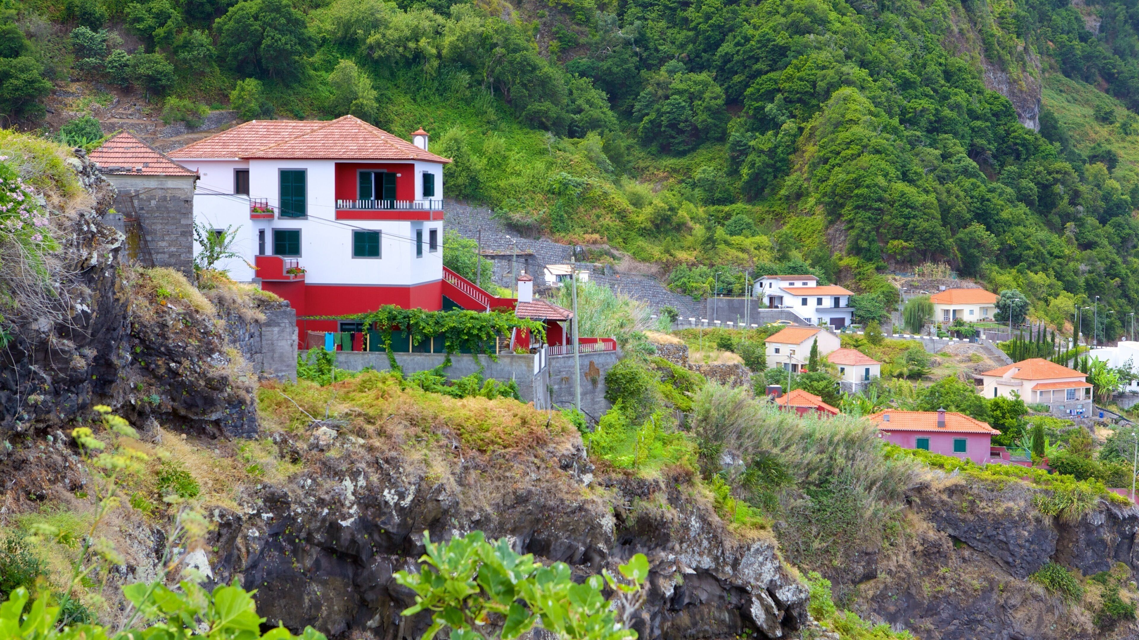 Madeira Island showing a small town or village and a house