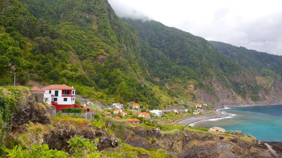 Madeira Island featuring a house, a coastal town and general coastal views