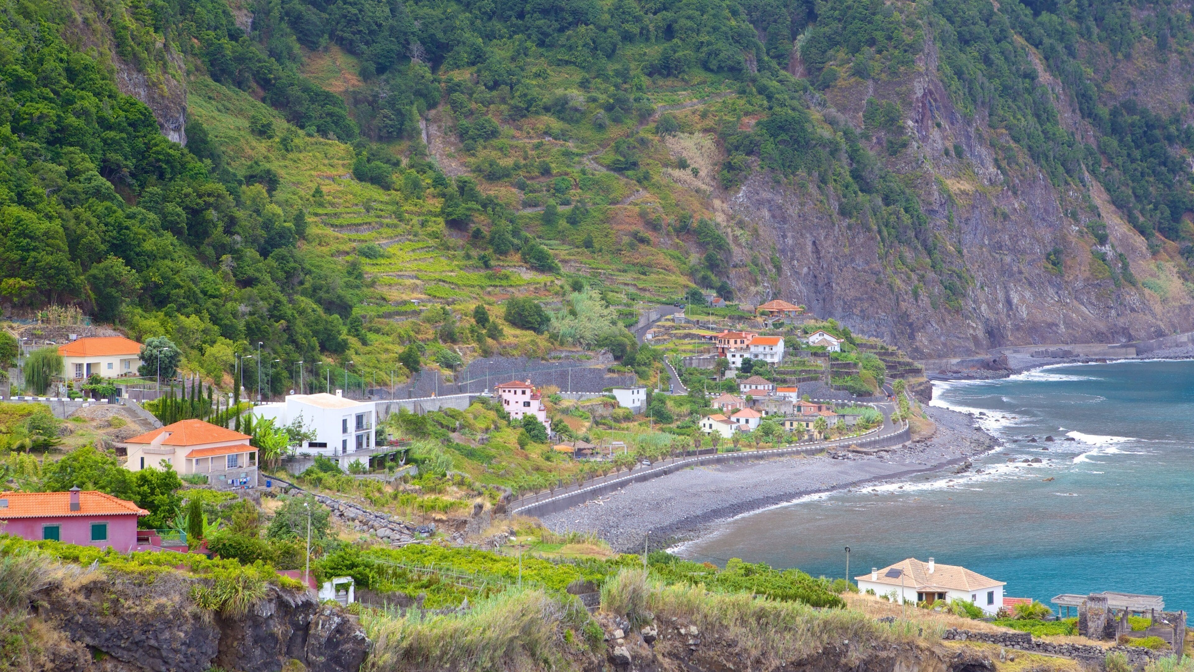 A coastal village with terraced houses and a rocky shoreline.