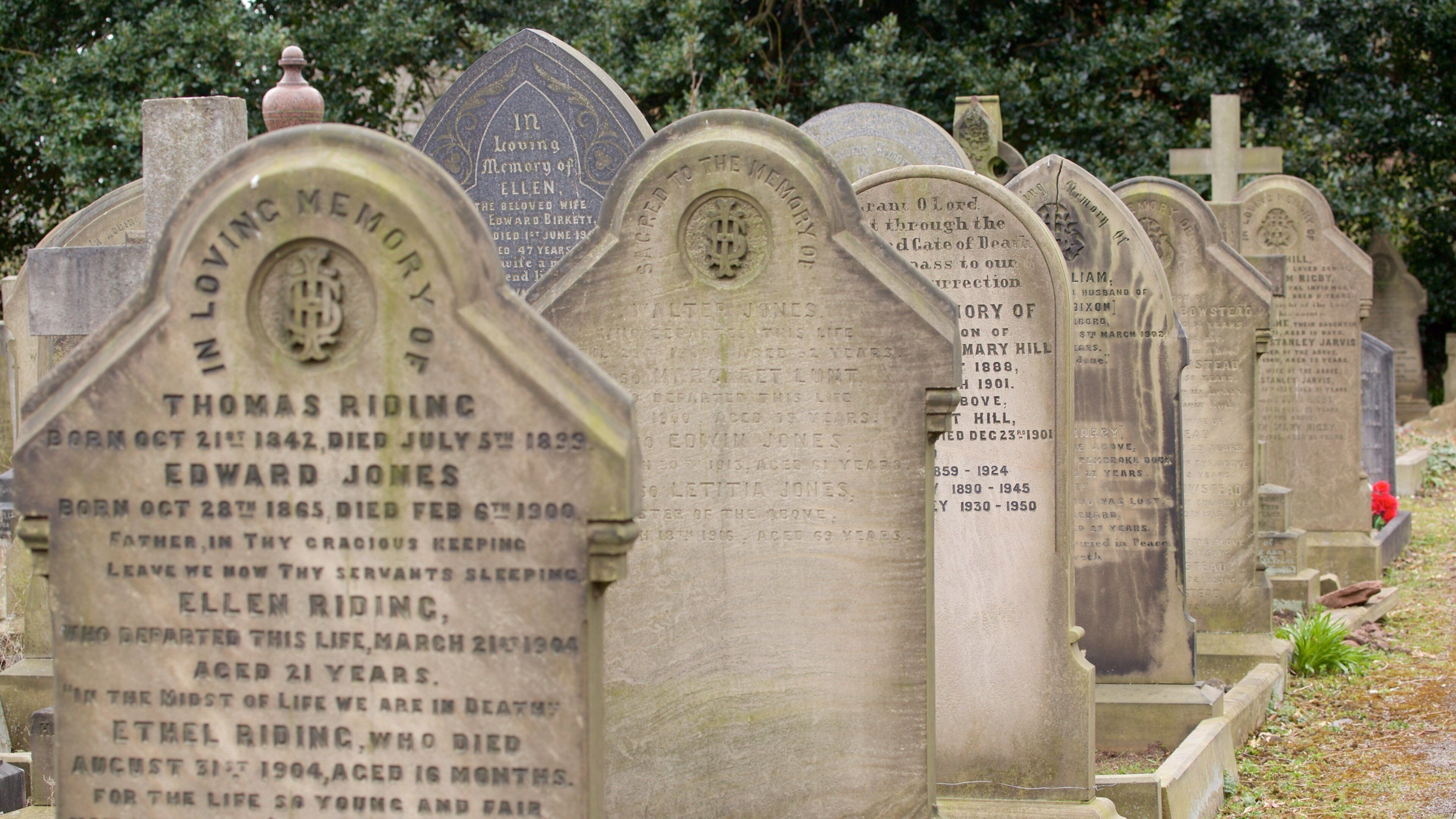 利物浦 其中包括 墓地