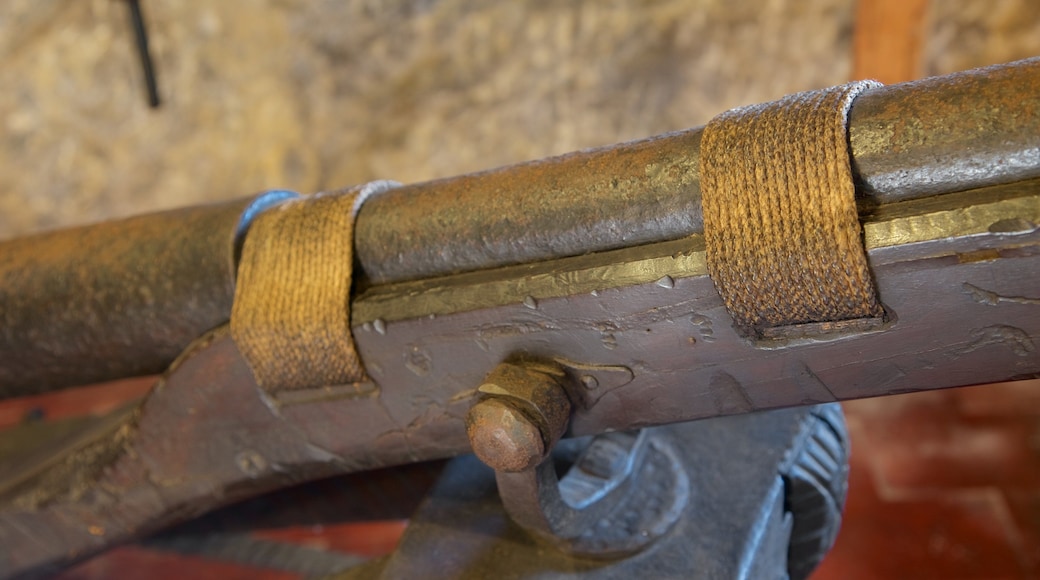 San Marino showing interior views