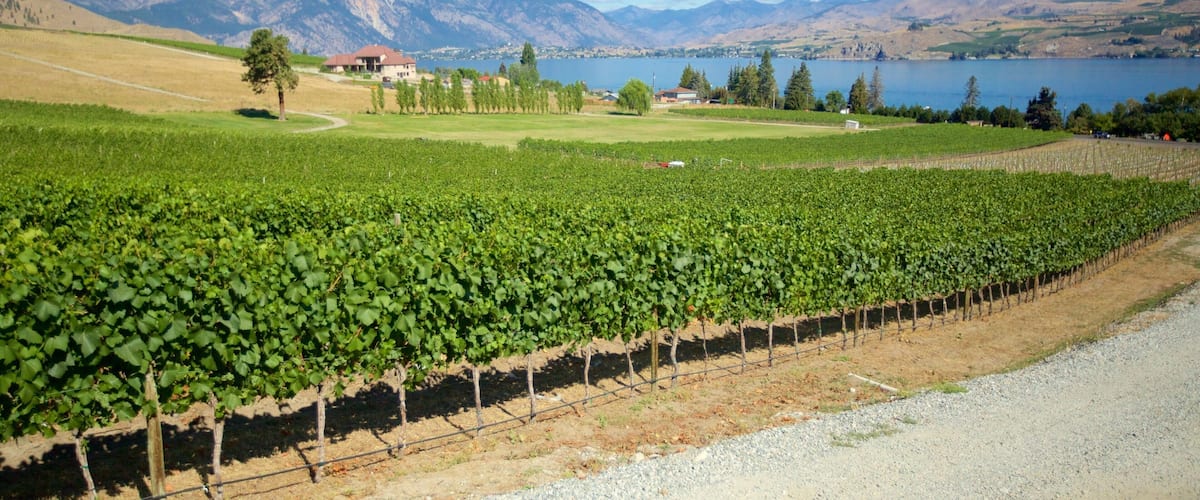 Chelan das einen Farmland