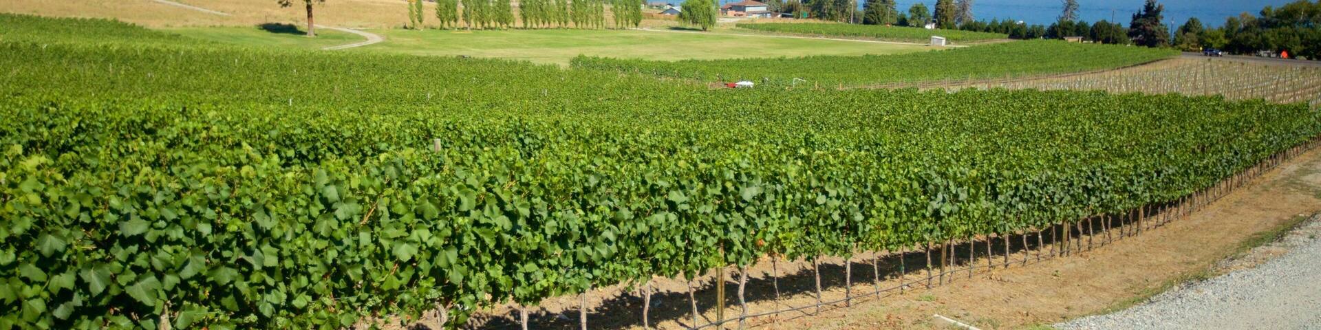Chelan featuring farmland