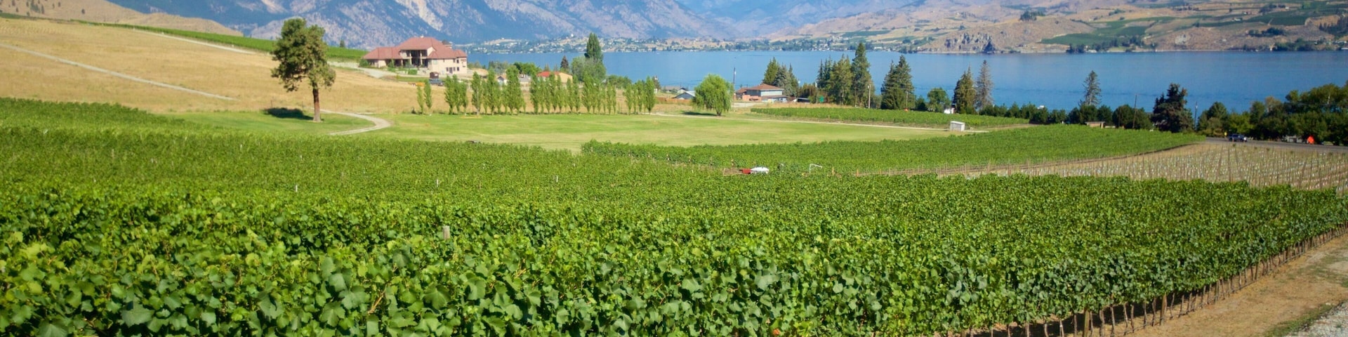Chelan featuring farmland
