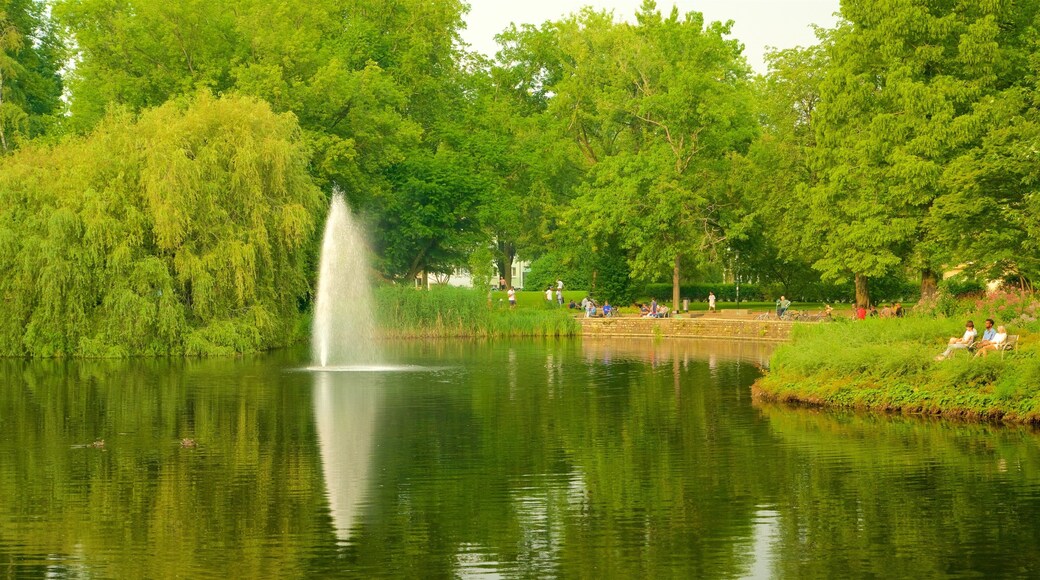 Stadtgarten showing a pond and a fountain