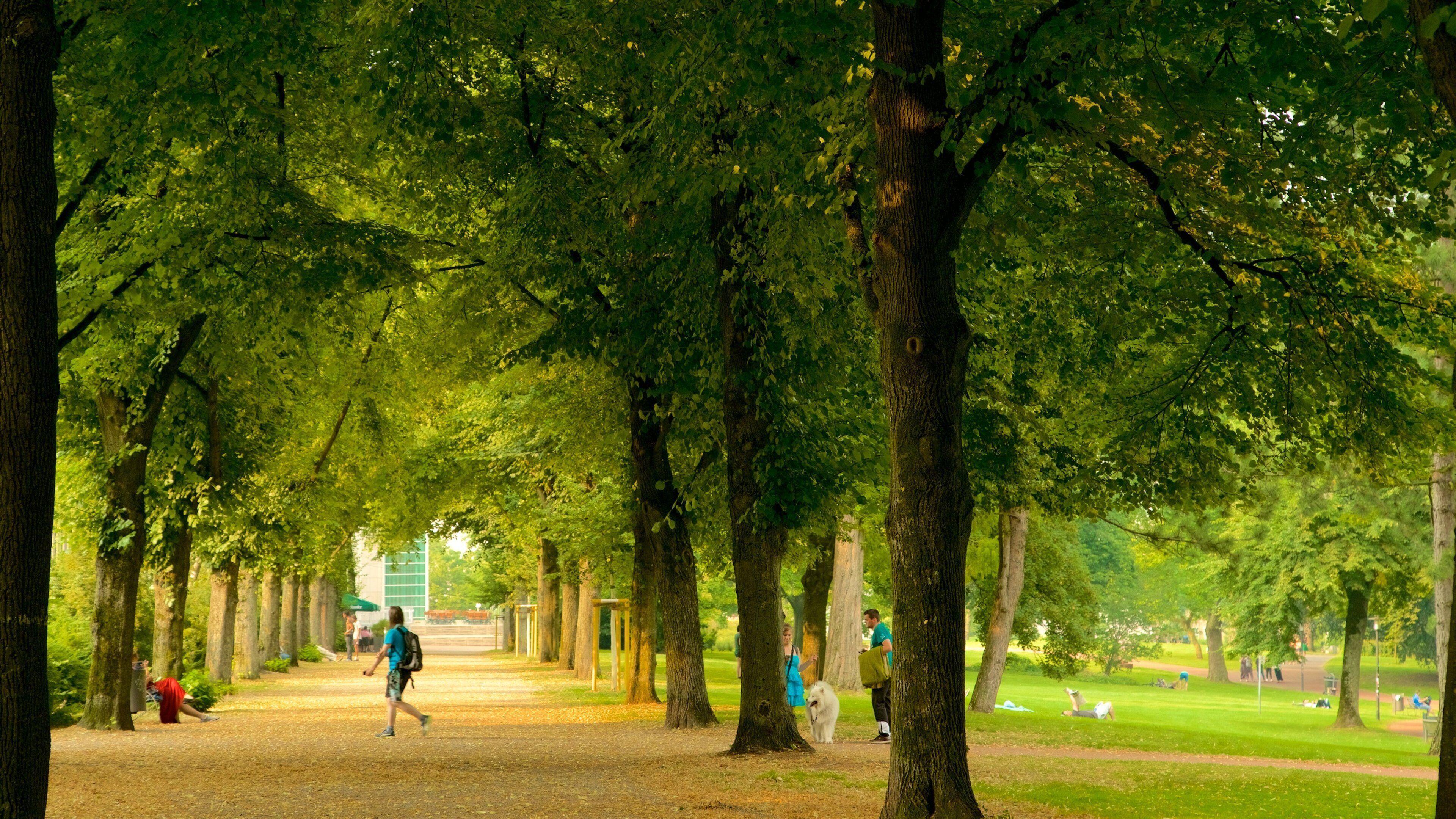Stadtgarten featuring a park
