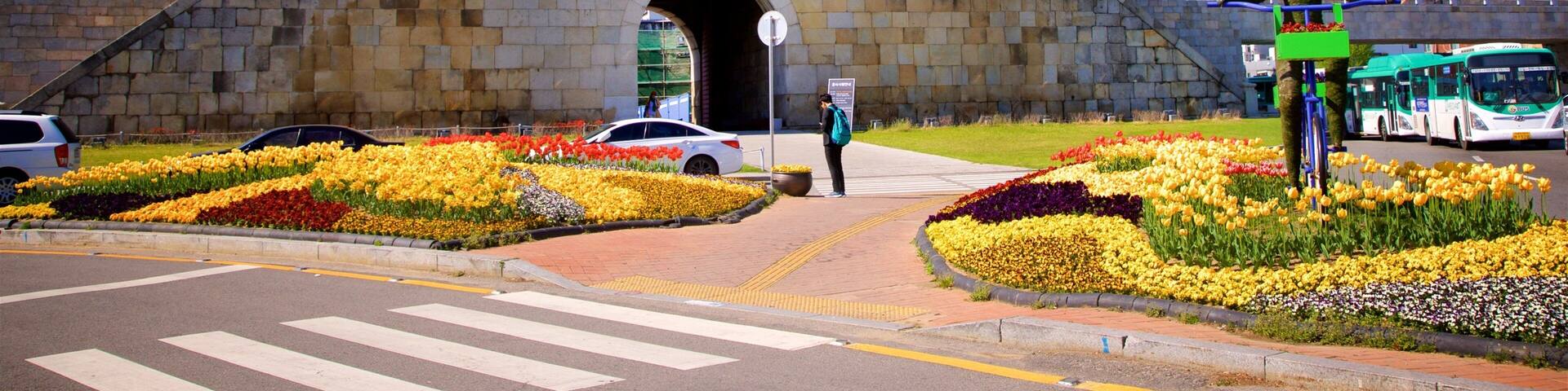 Una puerta tradicional coreana con tejado de tejas, rodeada de parterres y una estatua.
