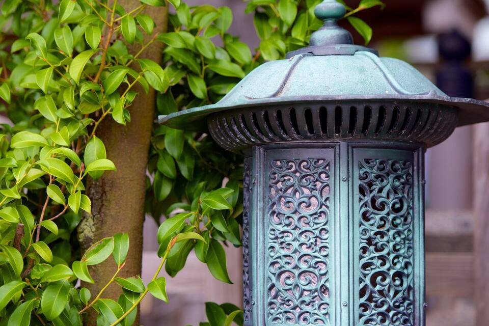 A green metal lantern with intricate designs, partially obscured by lush green foliage.