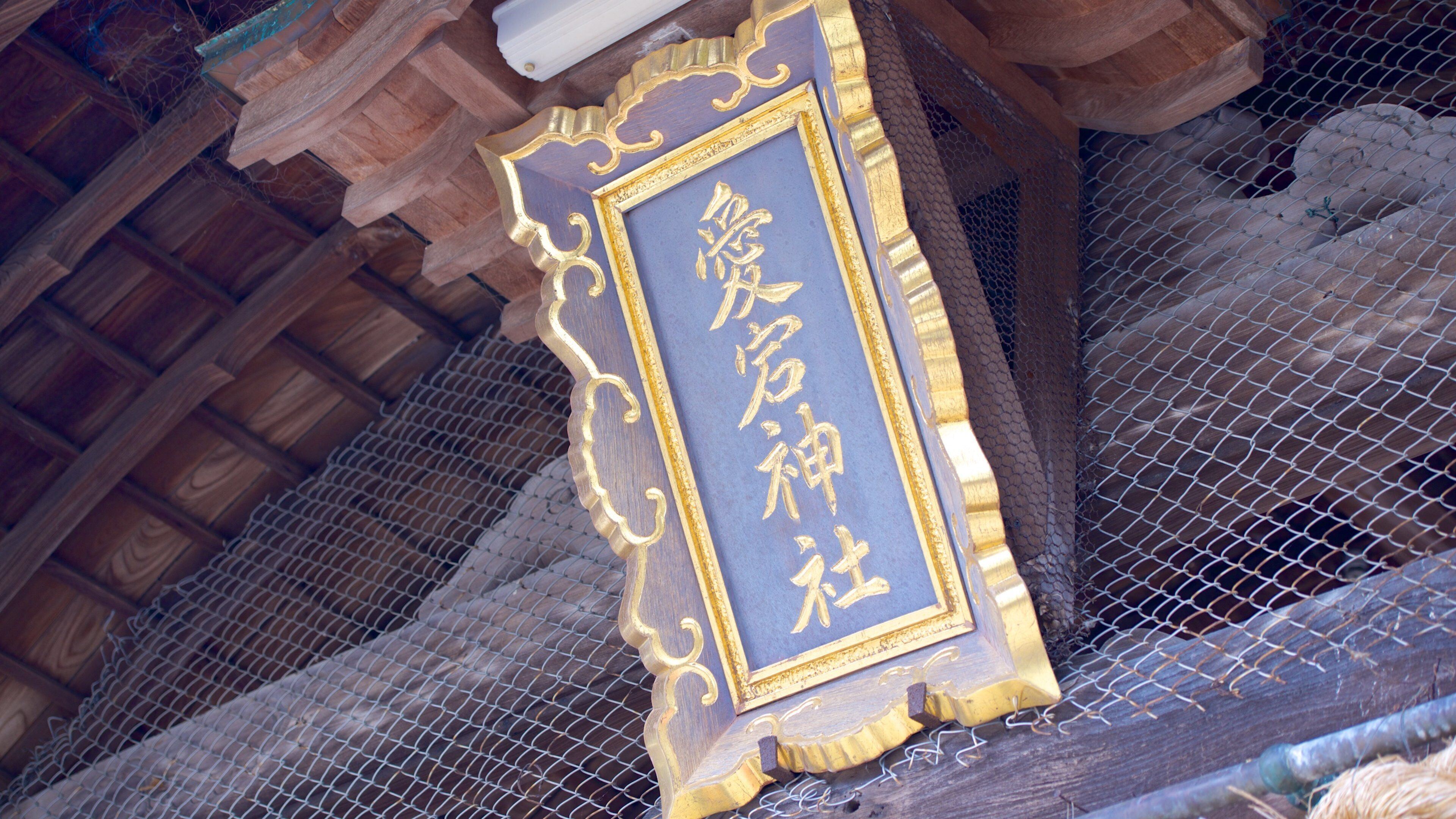 Kyushu and Okinawa showing signage