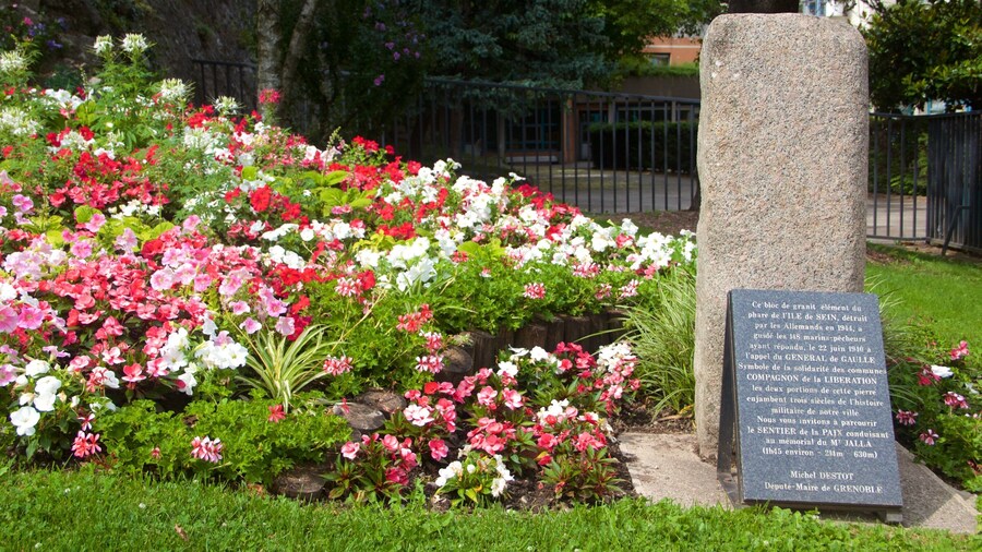 Grenoble caracterizando flores