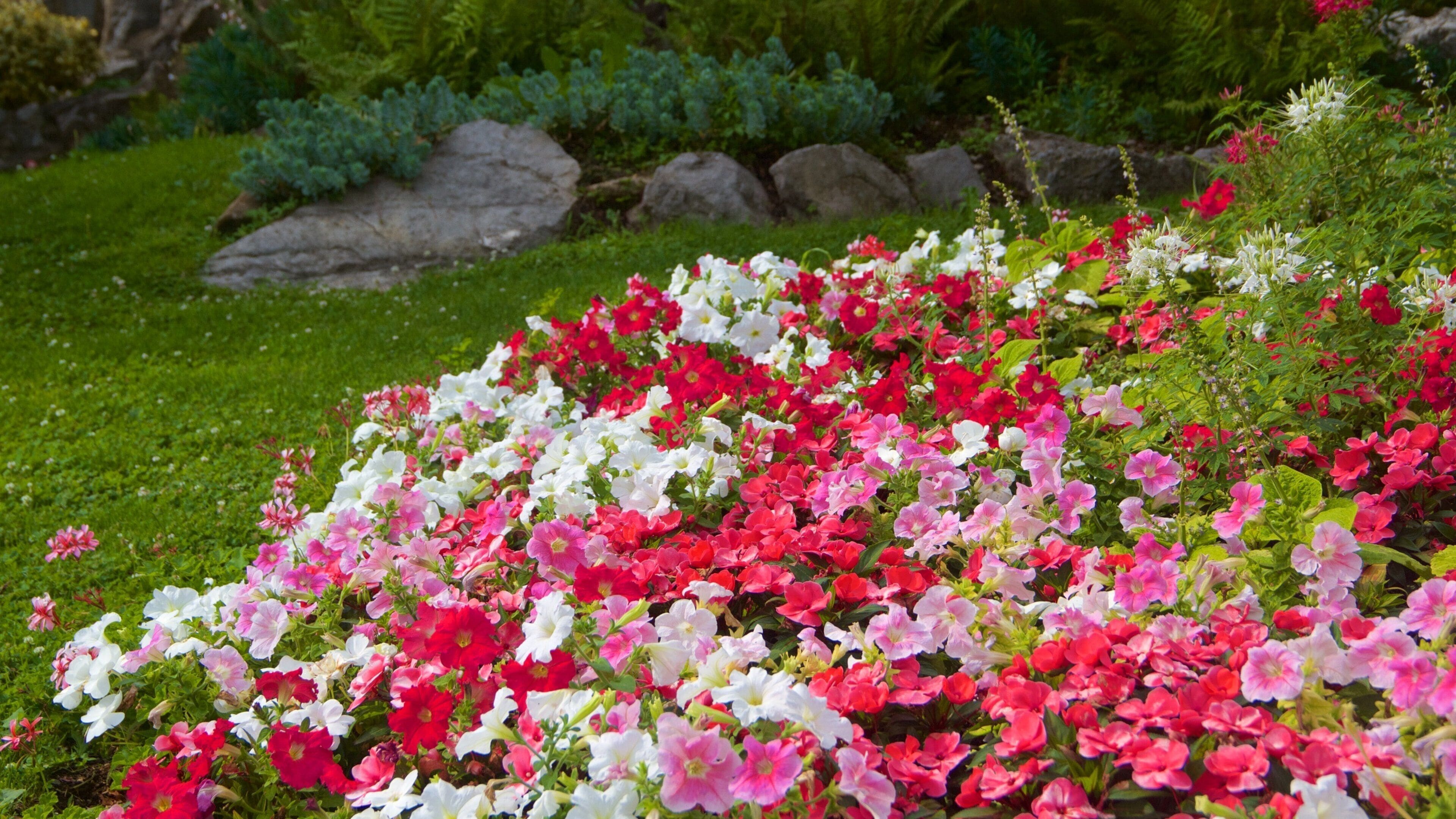 Jardin des Dauphins showing flowers