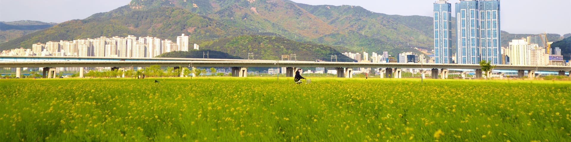 釜山