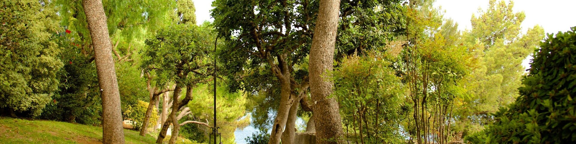 Monaco showing a park