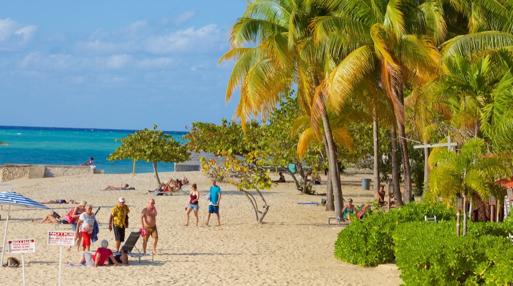 Doctor\'s Cave Beach which includes tropical scenes, a sandy beach and general coastal views