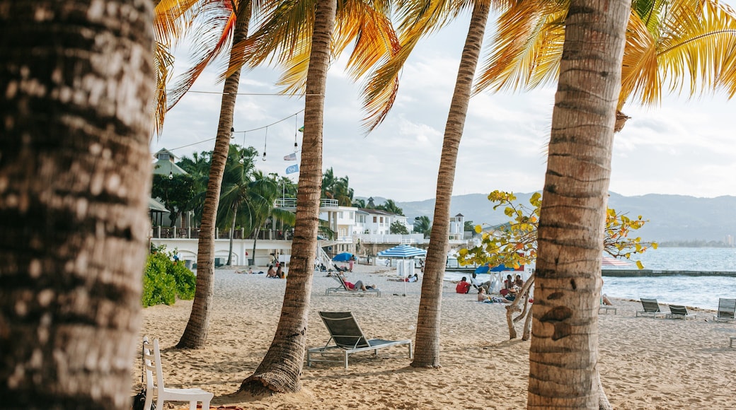 Doctor\'s Cave Beach featuring tropical scenes, general coastal views and a beach