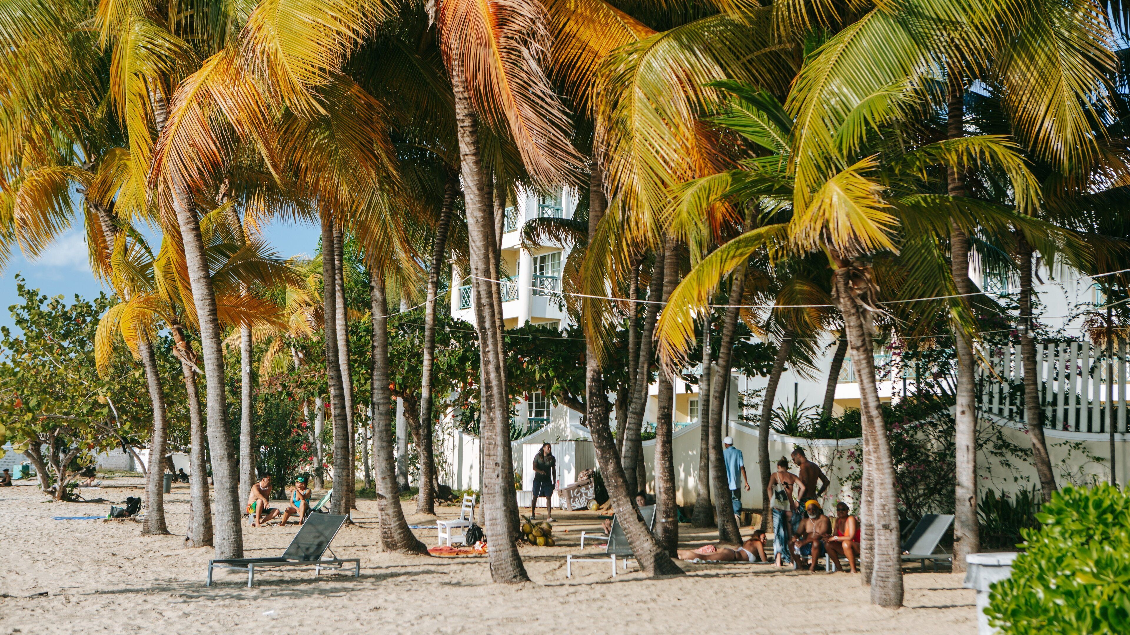 Doctor\'s Cave Beach featuring a sandy beach and tropical scenes