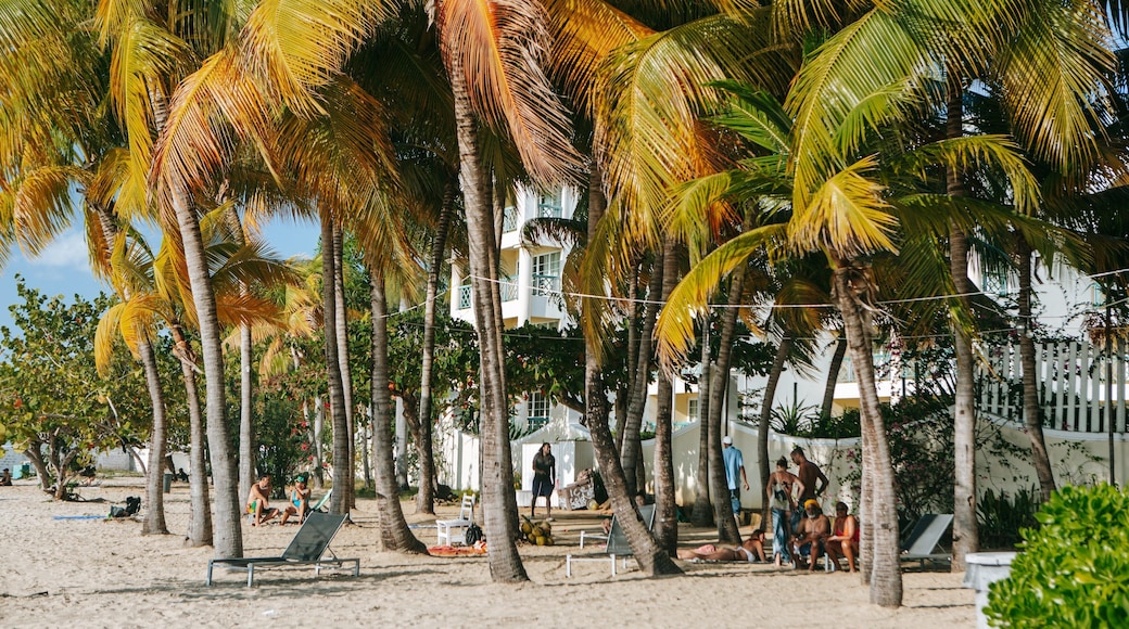 Doctor\'s Cave Beach featuring a sandy beach and tropical scenes