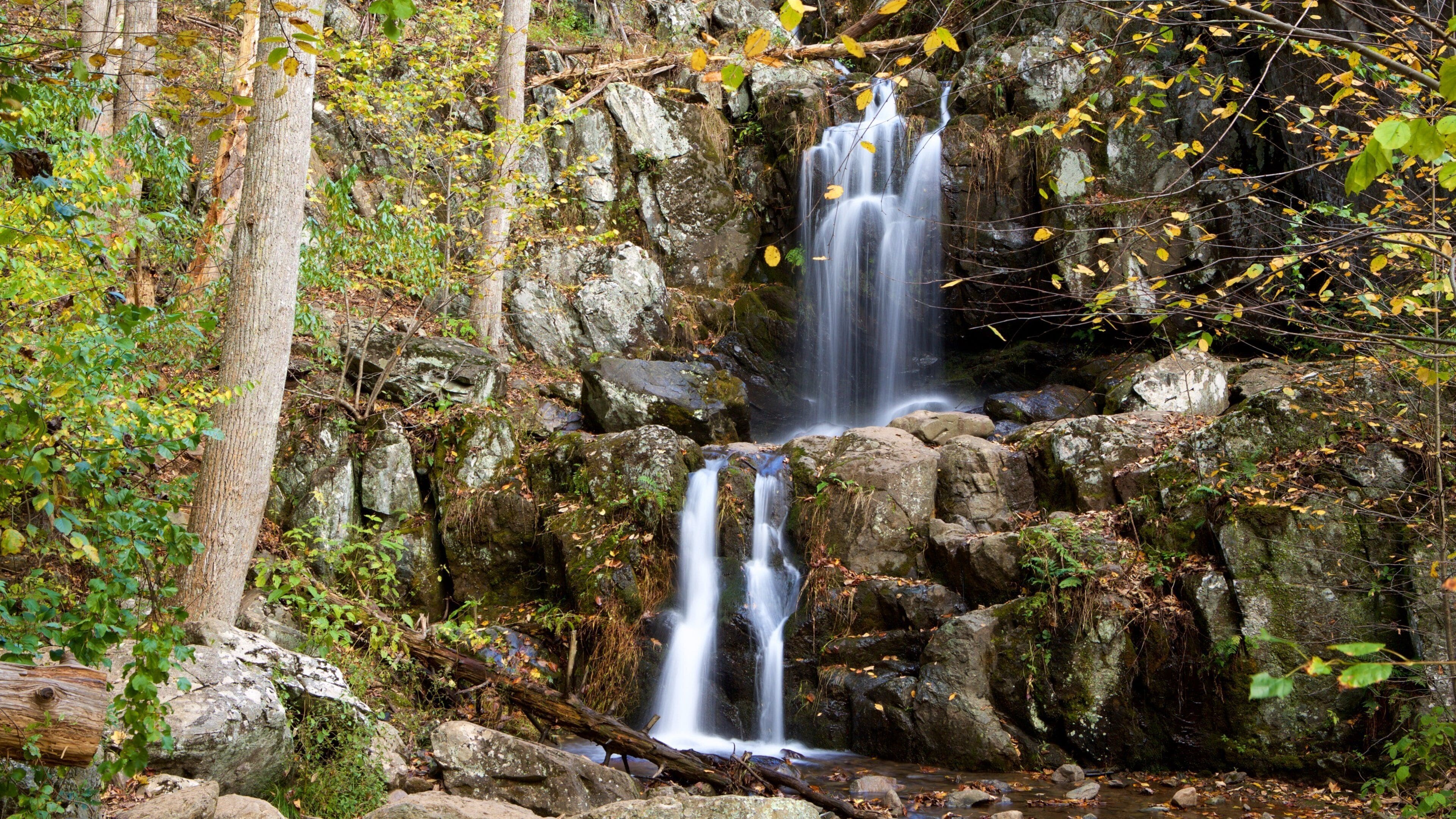 <h2>Top-rated places to stay near the beach in Crozet</h2>