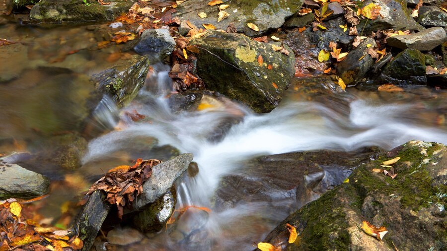 Doyles River Falls featuring a river or creek