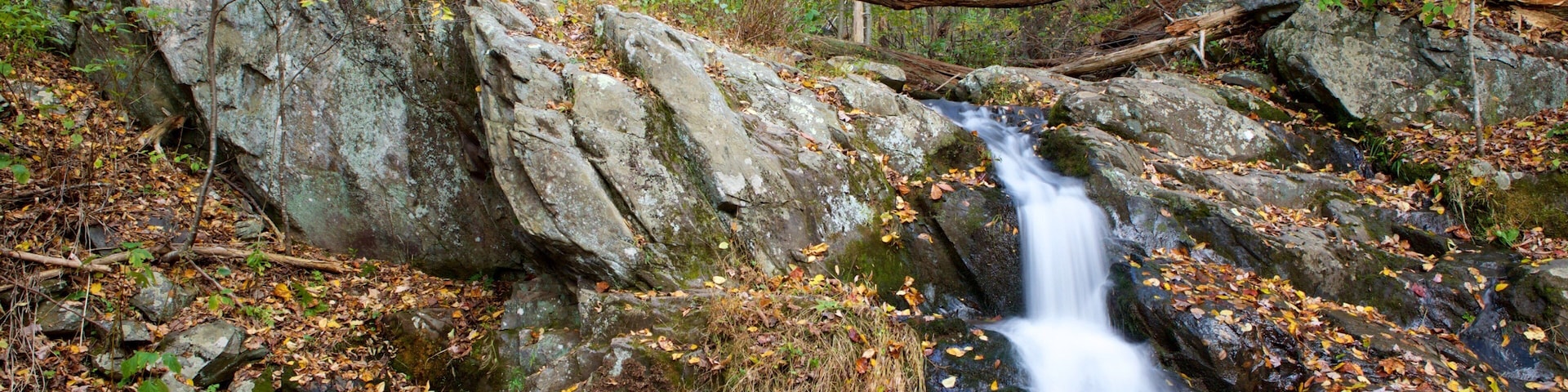 A waterfall in a forested area with large rocks and fallen leaves.
