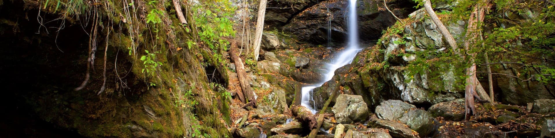 Shenandoah National Park which includes mountains, forest scenes and a cascade