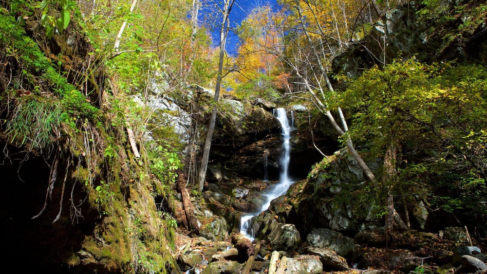 A waterfall in a forested area with rocks and trees.