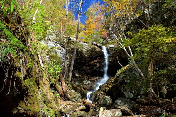 A waterfall in a forested area with rocks and trees.