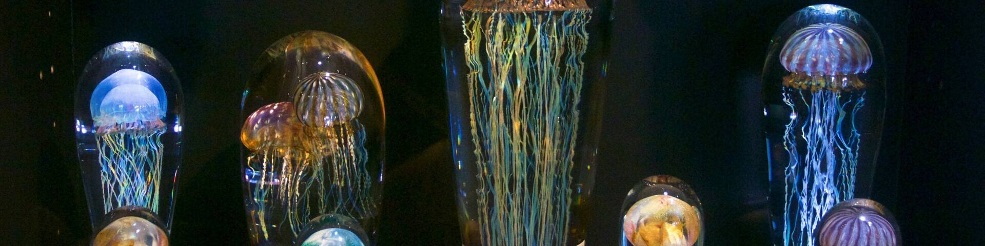 Kapaa que incluye arte