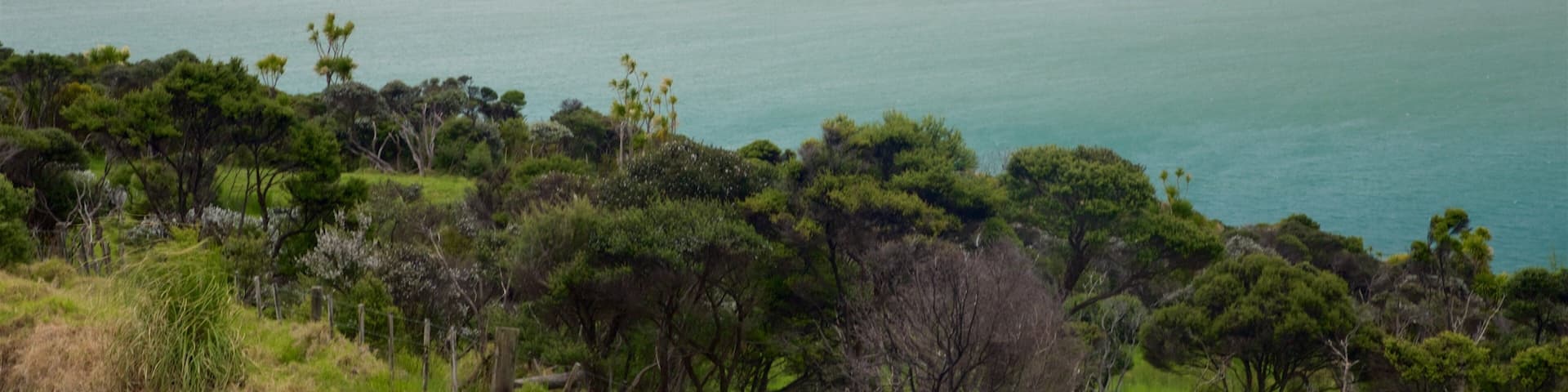 Omapere featuring a sandy beach, tranquil scenes and a bay or harbor